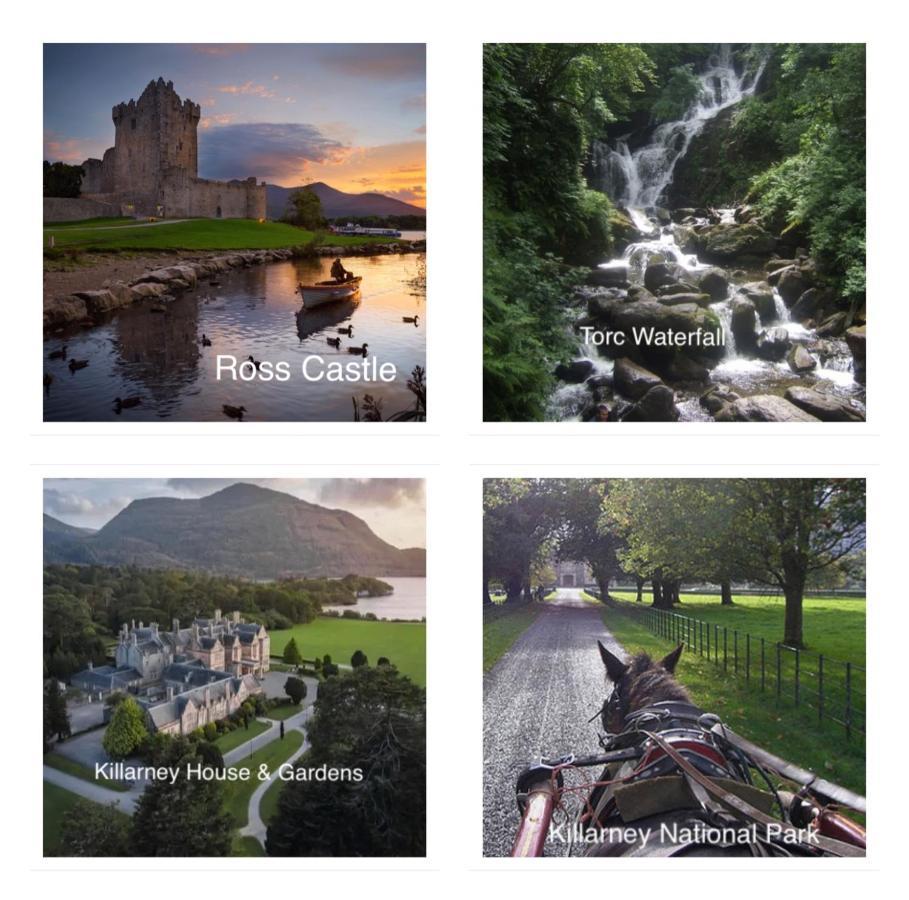 Country View House Hotel Milltown  ภายนอก รูปภาพ